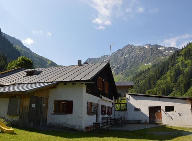 Kraft der Kräuter in den Alpen